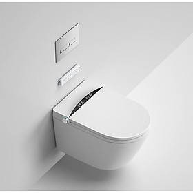 Mua BỒN CẦU THÔNG MINH TỰ ĐỘNG RG-AFW8003