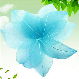 Gân lá cây tự nhiên nhuộm màu độc đáo, tinh tế thích hợp sáng tạo thiệp mời, khung ảnh, tranh nghệ thuật, DIY