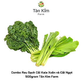 Combo Rau Sạch Cải Kale Xoăn và Cải Ngọt 500gram Tân Kim Farm