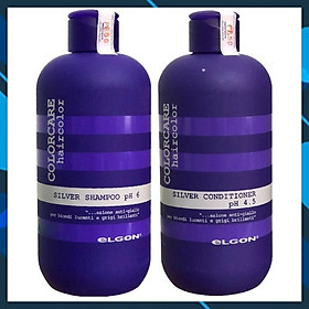 ELGON Silver Colorcare Italy 300mlx2