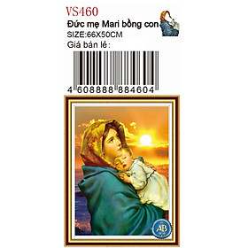 Mua Tranh đính đá đức mẹ maria bồng con VS460 - 66 x 50 cm - chưa đính