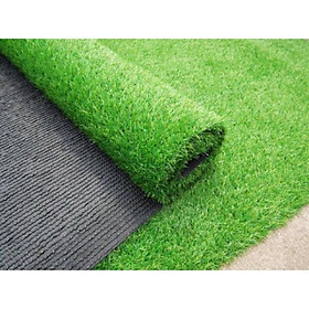 Mua Thảm cỏ nhân tạo cao 2cm cắt theo yêu cầu hàng đẹp