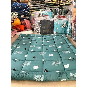 Mua topper Thay nệm size từ m2 * 2m  m4 *2m m6*2m  m8*2m- topper - nệm mềm( chat shop chọn mẫu và size)