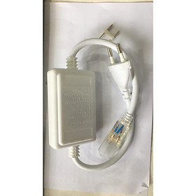 Mua Dây led nháy đuổi đôi - 2 hàng led cao cấp ( Bán lẻ theo m)