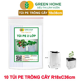 Mua 10 Túi Trồng Cây GreenHome  PE 2 Lớp  18x36CM  Chống UV  Tiện Lợi  Độ Bền 1 5 Năm  Trồng Rau  Hoa