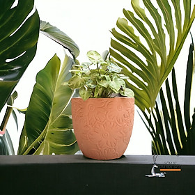 Chậu Gốm Hình Vót Vân Hoa Mặt Trời D16cm X H16cm