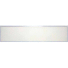 Đèn led Panel - led tấm sơn trắng 300x1200 ánh sáng trắng