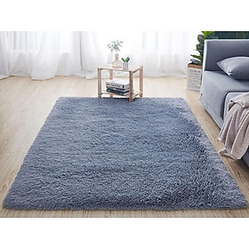 Mua Thảm Lông Trải Sàn Sang Trọng  Hiện Đại 1m2 x 1m6  1m6 x 2m  1m6 x 2m3 cho Phòng Khách  Ngủ  Chụp Hình và Các Sự Kiện