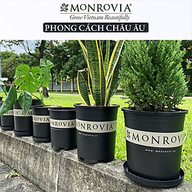 Chậu nhựa trồng cây MONROVIA màu đen, để bàn, treo ban công, ngoài trời, sân vườn, tiêu chuẩn Châu Âu