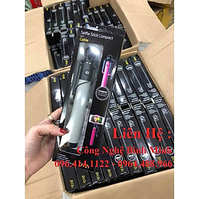 Mua Gậy chụp ảnh D12S (BM-00042)