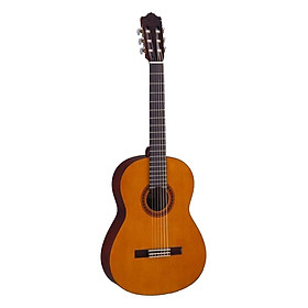 Mua Đàn Guitar Classic Yamaha C40//02 - Hàng Nhập Khẩu