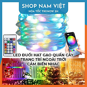 Mua Led Đuổi Hạt Gạo RGB Quấn Cây Trang Trí Ngoài Trời Cảm Nhạc  Điều Khiển APP + Remote