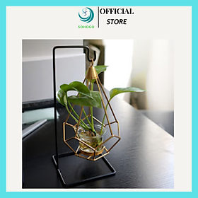 Mua Bộ lọ trồng cây thủy sinh có giá treo kèm lồng sắt trang trí để bàn  phong cách hiện đại- Chọn mẫu theo ý