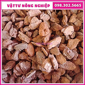 Size 4x5cm Vỏ thông mài cạnh đều đẹp dùng trồng lan, trang trí chậu cảnh, sân vườn - Gói 1 kg