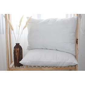 Mua Ruột Gối Nằm - KHA LY - cao cấp (size 50 x 70cm) nằm rất êm  ép chân không gọn nhẹ