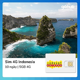 Sim Indonesia 10 Ngày 5GB