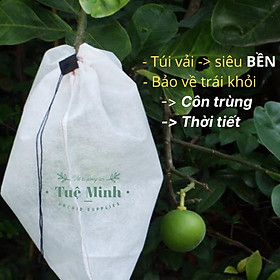 Mua 100 Túi Bao Bọc Trái Cây Cỡ 18x19cm Có Dây Rút Dùng Cho Bưởi  Cam  Mít  Xoài  Ổi  Tránh Côn Trùng