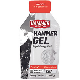 Gel uống bổ sung năng lượng - Hammer Nutrition Hammer Gel vị cây nhiệt đới