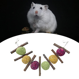 Rabbit Chew Toys Cage Hanging Bite Grind Teeth Toy Guinea Pigs Hamsters Toys