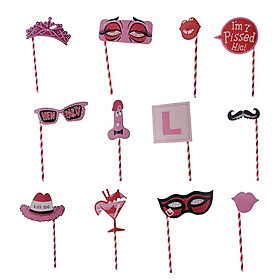 Party Photo Booth Props Kit for Hen Night Party(12pcs)