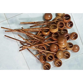 Mua Gáo dừa múc r.ự..ơu tiện lợi