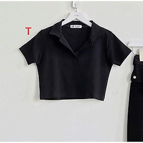 Áo Croptop Basic Cổ Bẻ Polo Cá Tính Chất Mềm Dáng Ôm Siêu Xinh - Babi Trendy CT14