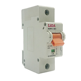 APTOMAT LIOA 1 CỰC 100A DÒNG CẮT 4,5KA