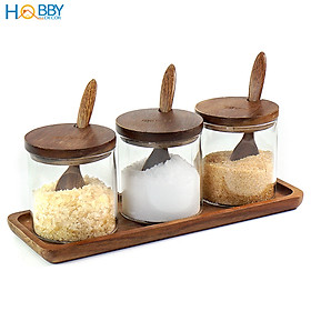 Combo 3 hủ gia vị thủy tinh kèm khay muỗng Hobby Home Decor HGV3D