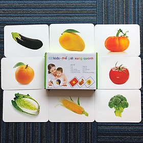Flashcard Thế Giới Xung Quanh theo phương pháp Glenn Doman _ Dạy trẻ thông minh sớm