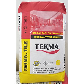 Mua Keo Dán Gạch Tekma Tile T3X - Bao 25kg - Màu Xám