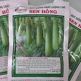 Mua Hạt giống bầu sao lai F1 SH19 Sen Hồng 100 hạt