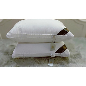 Mua Siêu Phẩm 2020 Ruột Gối Lông Vũ DUBAI BỘ 2 CHIẾC kích thước 50x70cm Siêu êm