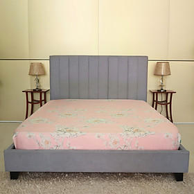 Tấm drap Hometex 180x200cm Tencel Luxury