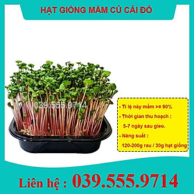 1kg Hạt Giống Rau Mầm Củ Cải Đỏ - Giòn, Ngọt, Dinh Dưỡng, Thu Hoạch Nhanh