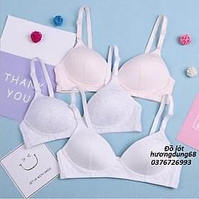 Bra / Áo Ngực Cotton Tinh Khiết Nữ Sinh Xuất Đông  Hàng Loại Đẹp.