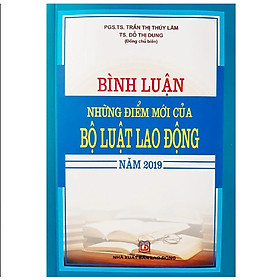 Hình ảnh Sách - Bình luận những điểm mới của Bộ luật lao động năm 2019