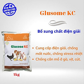 Glucose KC Vemedim - Cung cấp điện giải, chống mất nước, chống stress nhiệt cho gia súc, gia cầm, gói 1kg