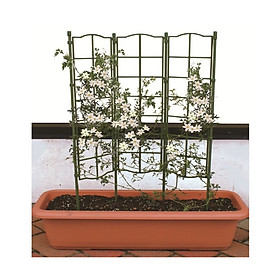 KHUNG HOA LEO - KHUNG TRỒNG CÂY LEO, CÀ CHUA BI - Dùng làm khung giá đỡ cho cây hoa leo, hoa hồng leo, cà chua