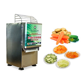 Mua Máy thái sợi  lát rau củ quả inox 3A1 1KW (2 cửa nạp) - Hàng Chính Hãng