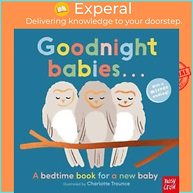 Sách - Goodnight Babies . . . by Charlotte Trounce (UK edition, boardbook)