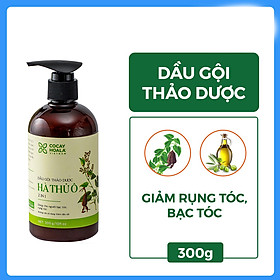 Dầu gội thảo dược HÀ THỦ Ô Chiết xuất từ 6 loại thảo dược - Cân Bằng Sắc Tố Melanin Khỏi lo bạc tóc rụng tóc Cocayhoala 300g