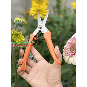 KÉO LƯỠI NHỌN BẤM CÀNH CÂY KIỂNG