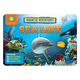 Hình ảnh sách Sea Life: Magnetic Adventures