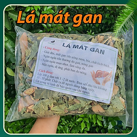Mua Túi 1Kg Lá Mát Gan giải độc mát gan và người dùng nhiều bia rượu