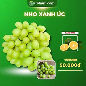 GIAO TPHCM HOẢ TỐC Nho Xanh Úc  Không hạt  nhập khẩu