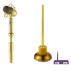 Micro đứng không dây LingRui YR-W