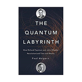 Ảnh bìa The Quantum Labyrinth