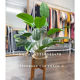 Mua Cây chuối giả cảnh cao 81cm gồm 18 lá bóng đẹp decor siêu yêu.