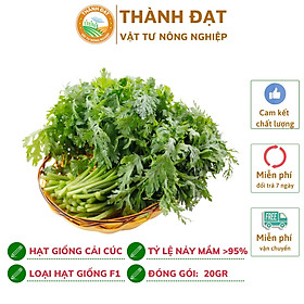 Mua Hạt giống rau cải cúc (rau Tần ô) gói 20gr~2500 hạt Năng suất cao