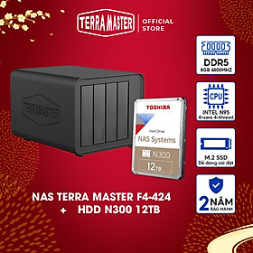 Mua Bộ Ổ cứng mạng NAS TerraMaster F4-424+N300 12T Hàng chính hãng